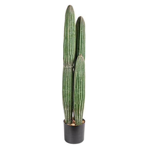 Storied Home Round Faux Pachycereus Cactus In Green