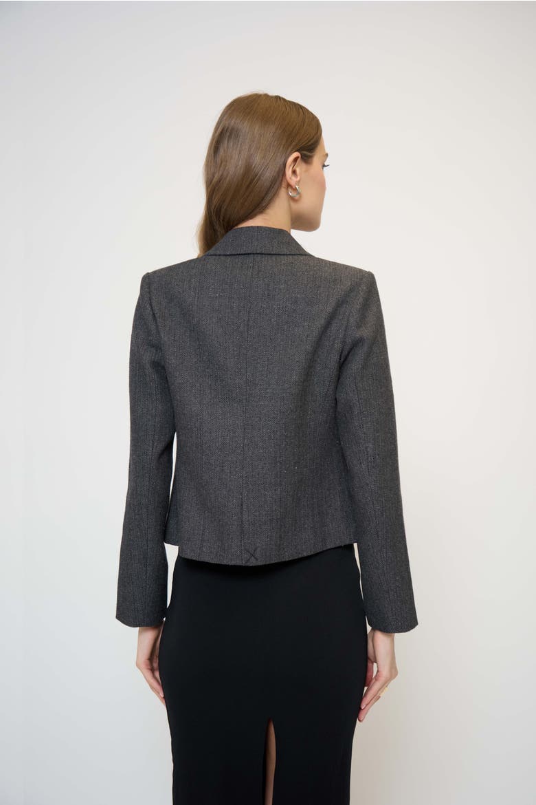 Crystal Pins & Chains Cropped Blazer, Alternate, color, BLACK