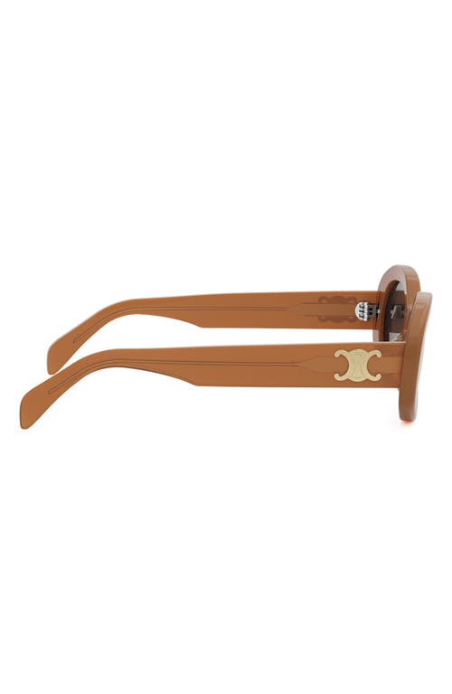 Celine Triomphe 52mm Oval Sunglasses In Brown