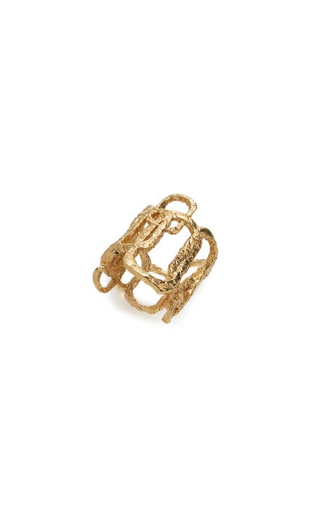 Roman Arc Golden Ring