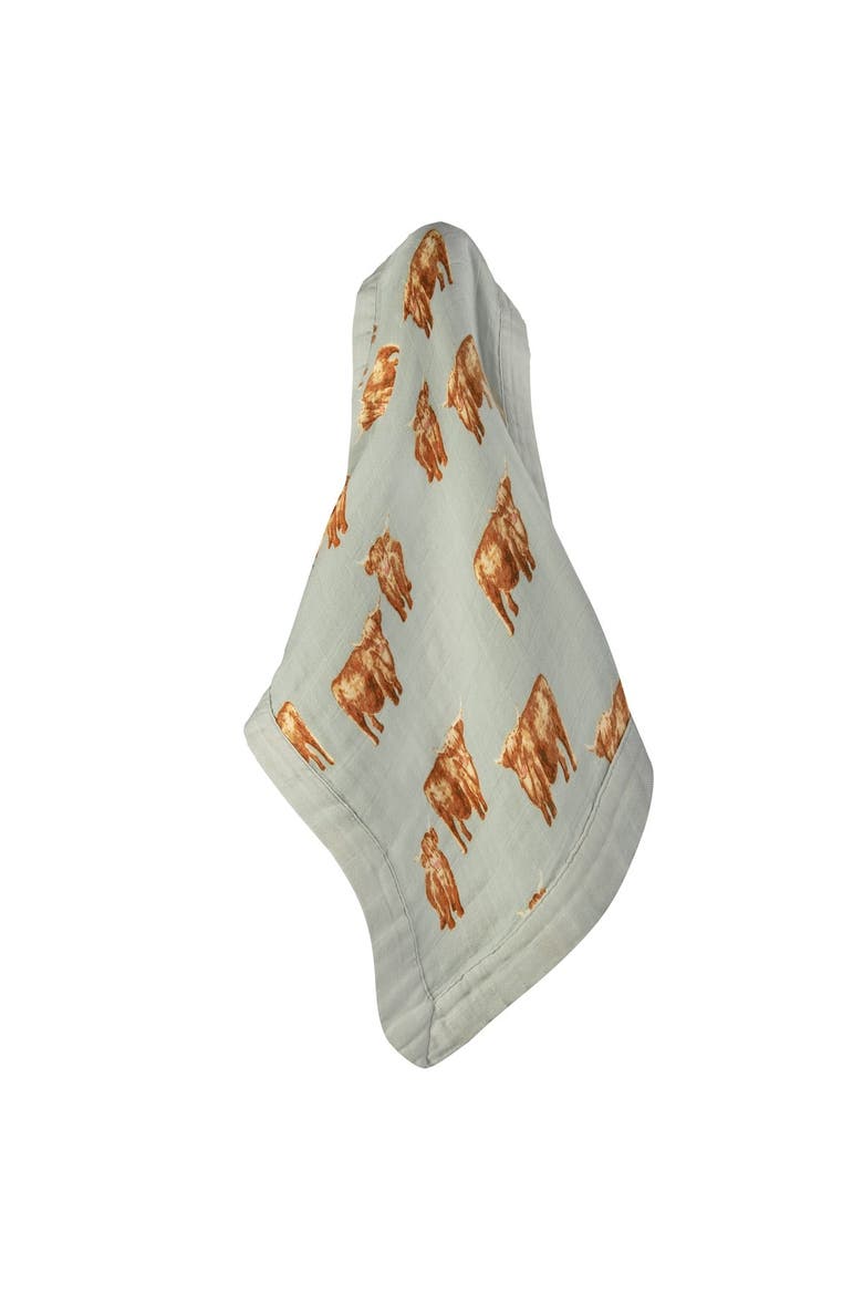 Collared Shortall, Main, color, Swimming Koi