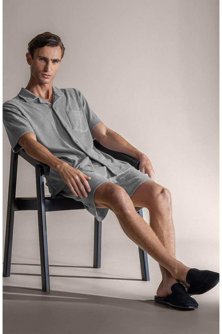 Terje Men's shorts, Alternate, color, Grey