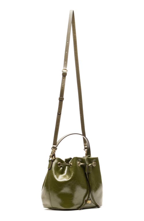 Frances Valentine Medium Minnie Leather Bucket Bag In Green