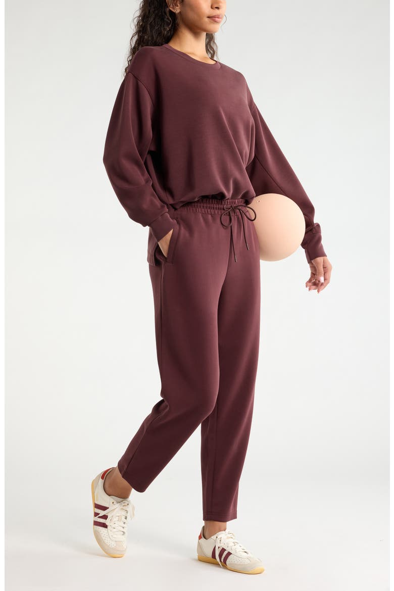 Soft Luxe Tunic, Alternate, color, BROWN RISTRETTO