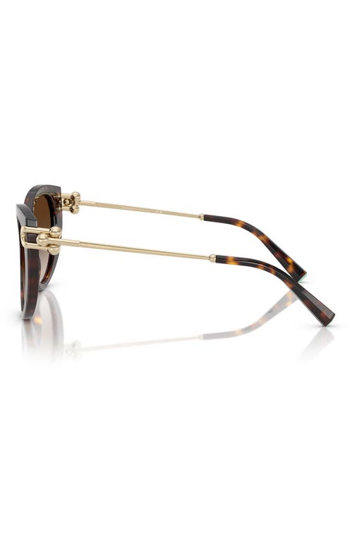 Tiffany & Co . 53mm Gradient Butterfly Sunglasses In Brown