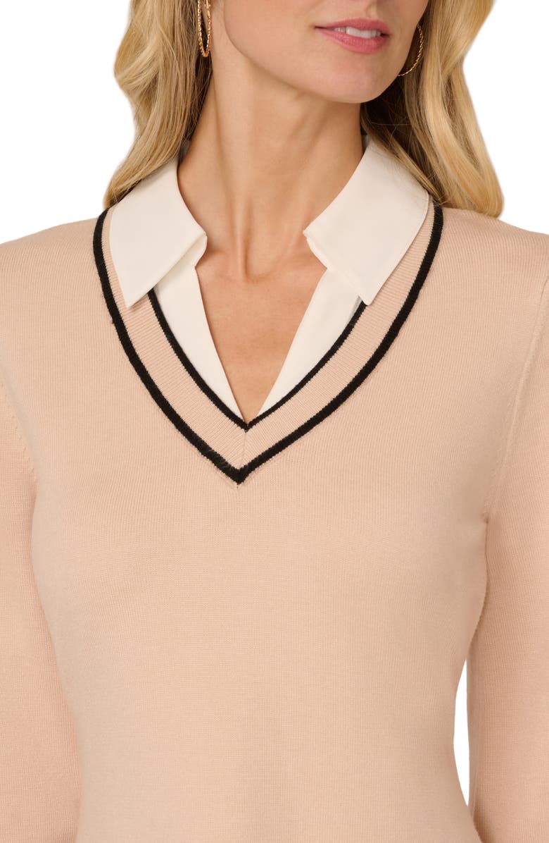 Adrianna Papell Collared Long Sleeve Twofer Sweater Dress, Alternate, color, Champ Blush/ Black