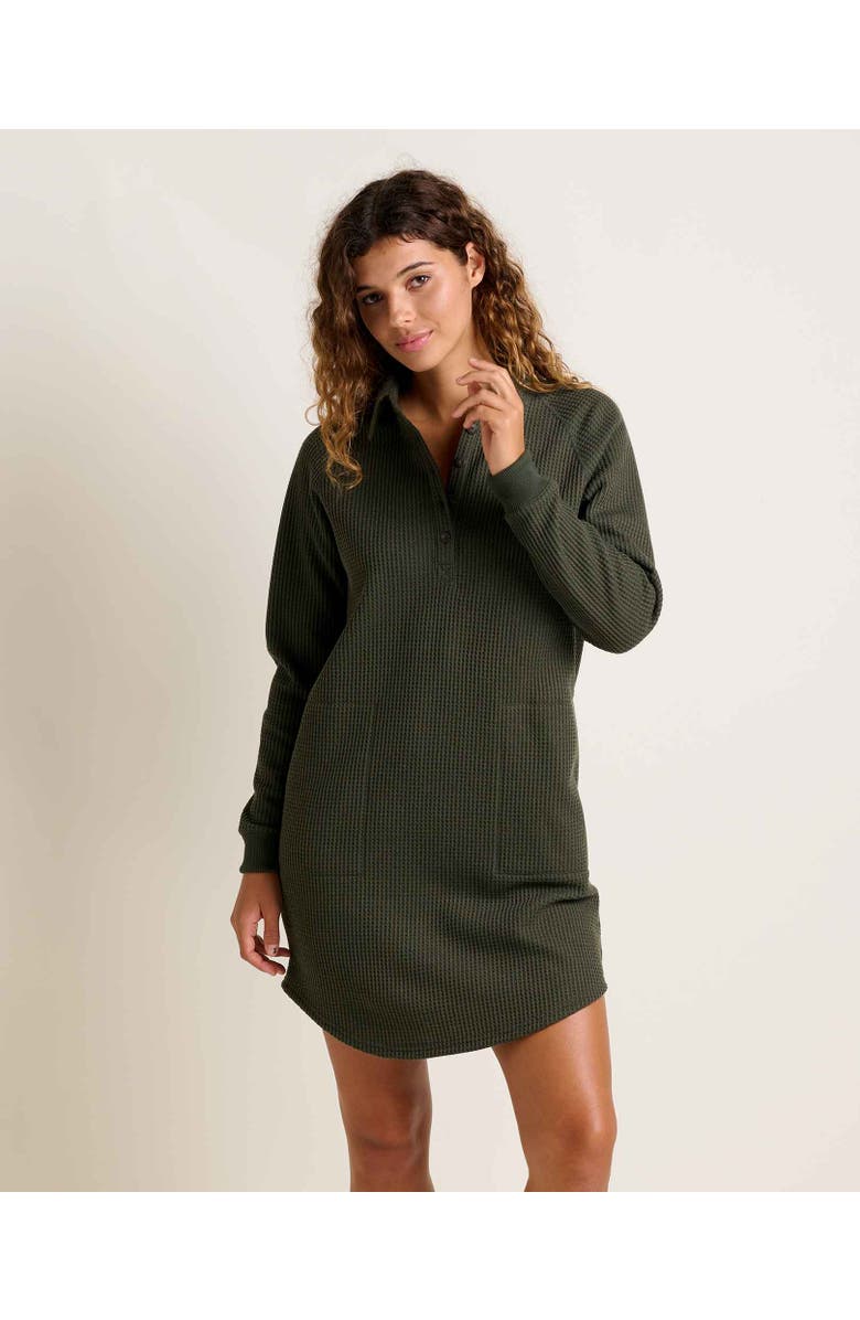 Toad & Co Bitterroot Long Sleeve Dress, Main, color, Olive