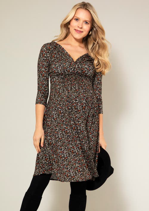 Tiffany Rose Maternity Willow Maternity Dress In Multi