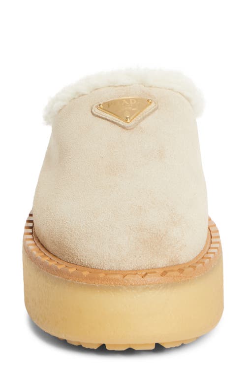 Prada Evolve Genuine Shearling Clog