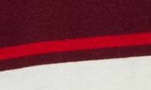Pistola Drea Stripe Cotton Sweater Polo In Ruby Sangria Stripe