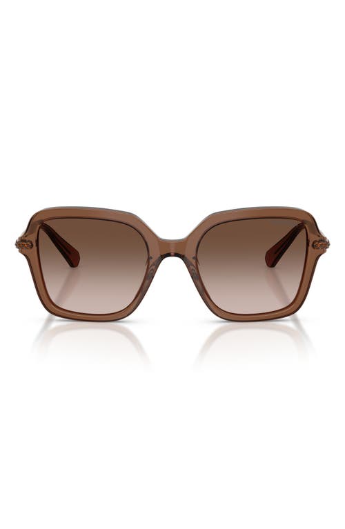 Swarovski 50mm Small Irregular Sunglasses In Brown
