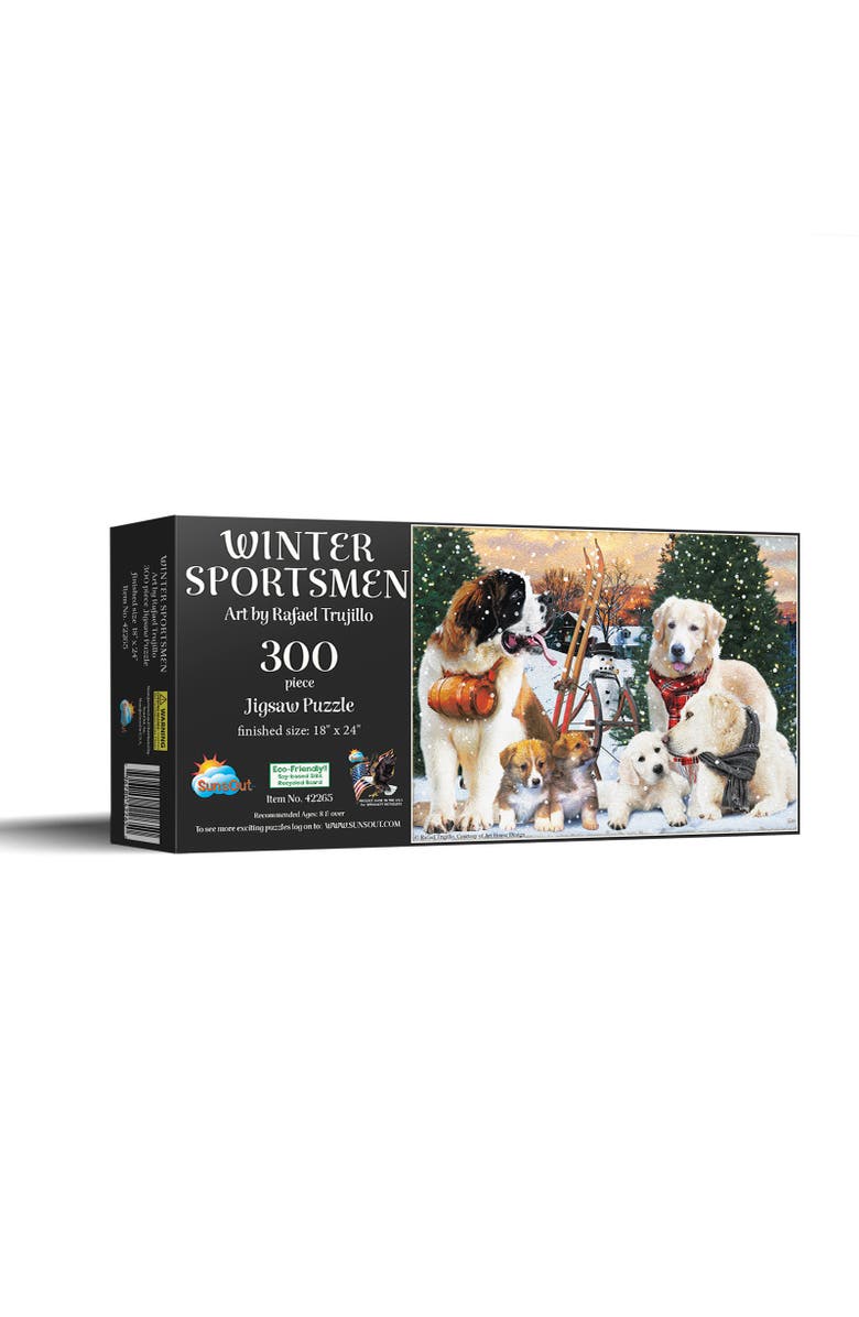 Sunsout Winter Sportsmen 300 piece Jigsaw Puzzle for Adults, Main, color, Multicolor