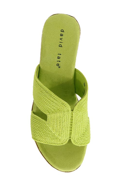David Tate Vibe Wedge Slide Sandal In Citrus