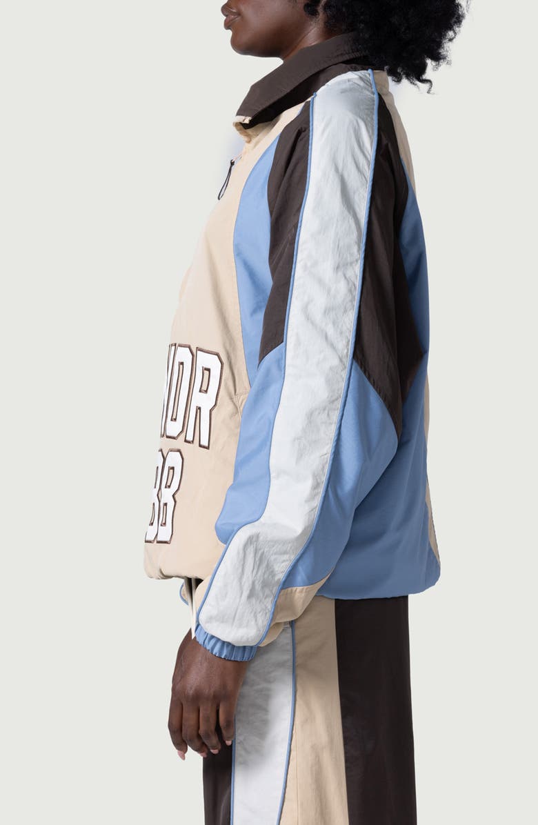 HONOR THE GIFT Oversize Colorblock Half Zip Pullover, Alternate, color, 