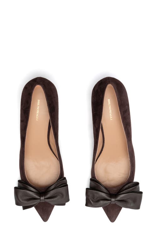 Bruno Magli Nadia Pointed Toe Kitten Heel Pump In Brown Suede