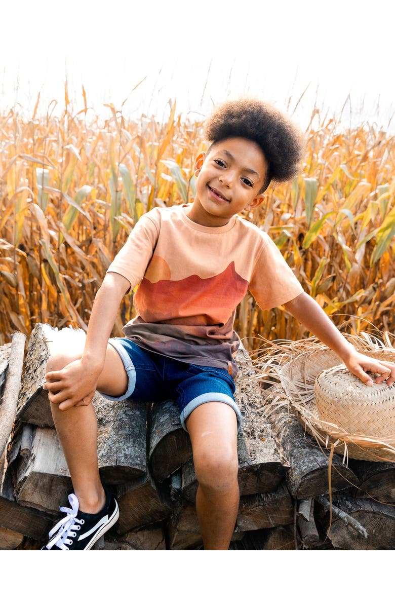 Deux par Deux Little Boy's Printed Organic Cotton Tee Orange Sunset, Alternate, color, 