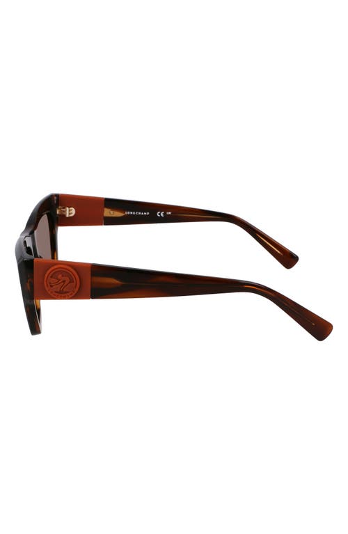 Longchamp Medallion 53mm Modified Rectangular Sunglasses In Striped Brown