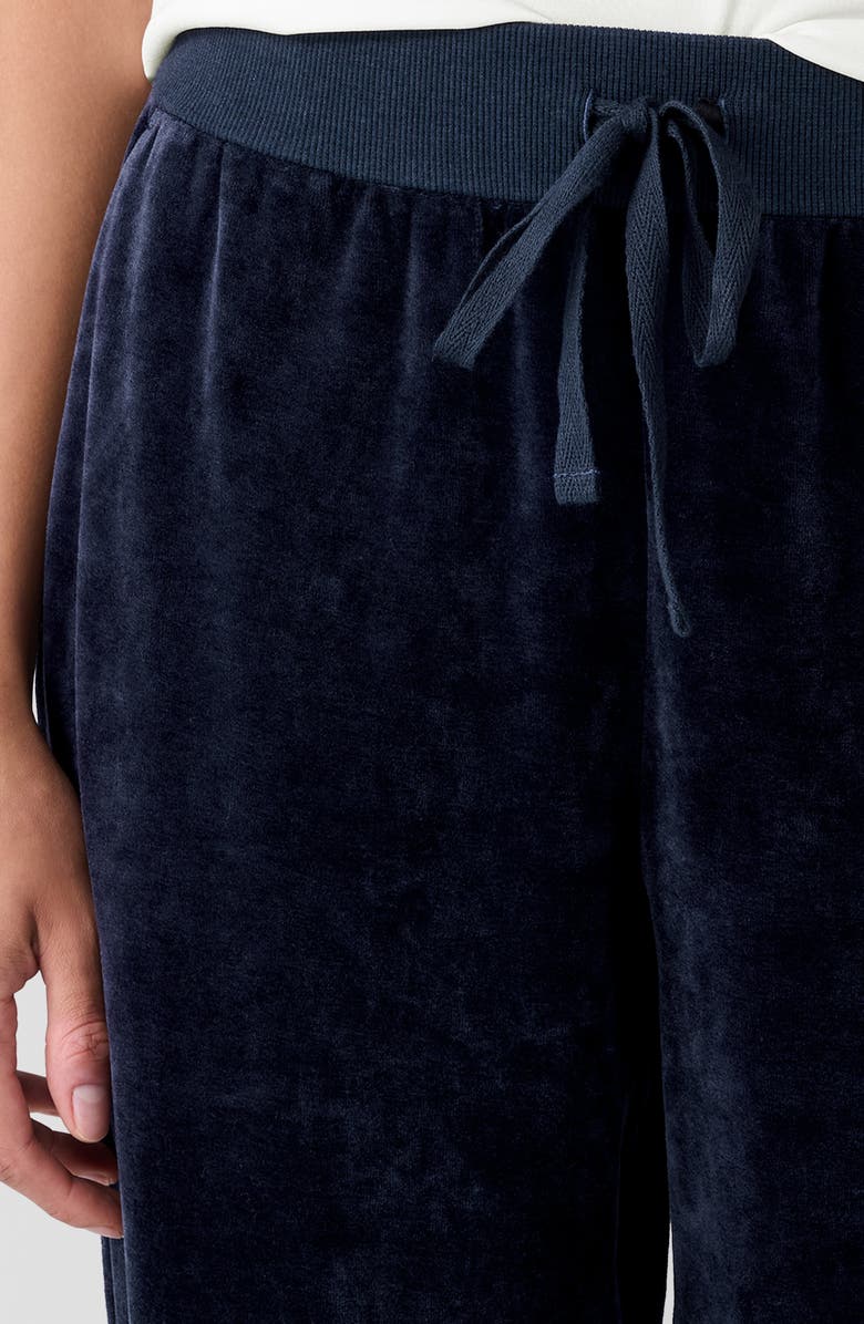 Eileen Fisher Velour Ankle Joggers, Alternate, color,