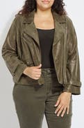 Lysse Emory Faux Leather Snake Embossed Moto Jacket