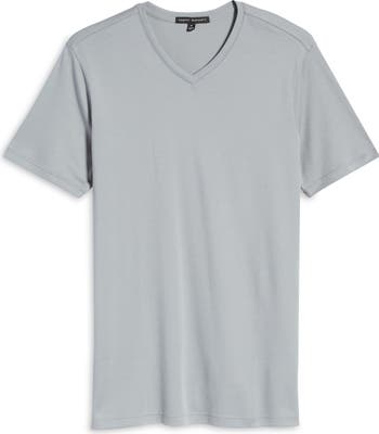 Robert Barakett Georgia Regular Fit V-Neck T-Shirt | Nordstrom