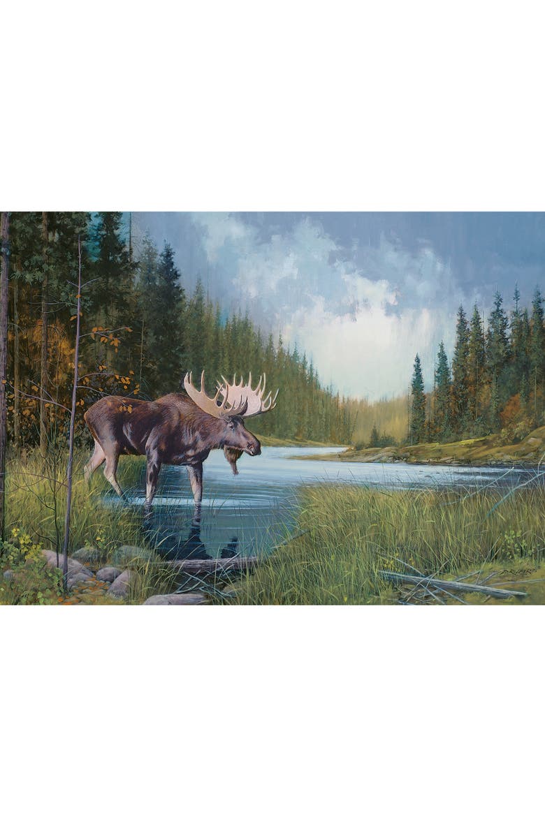 Moose Lake 1000 Piece Puzzle, Alternate, color, Multicolored