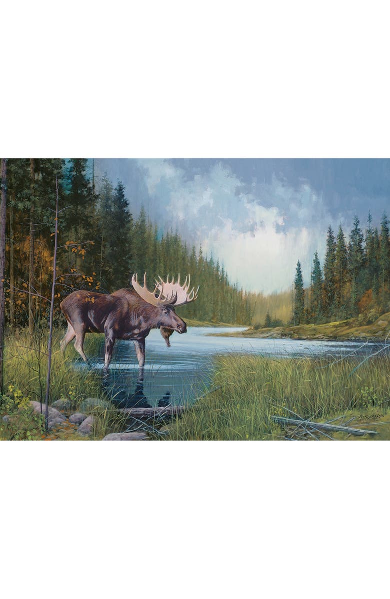 Cobble Hill Moose Lake 1000 Piece Puzzle, Alternate, color, Multicolored