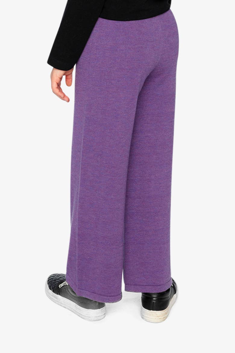 Cozy Texture Wide Leg Knitted Pants, Alternate, color, Violet