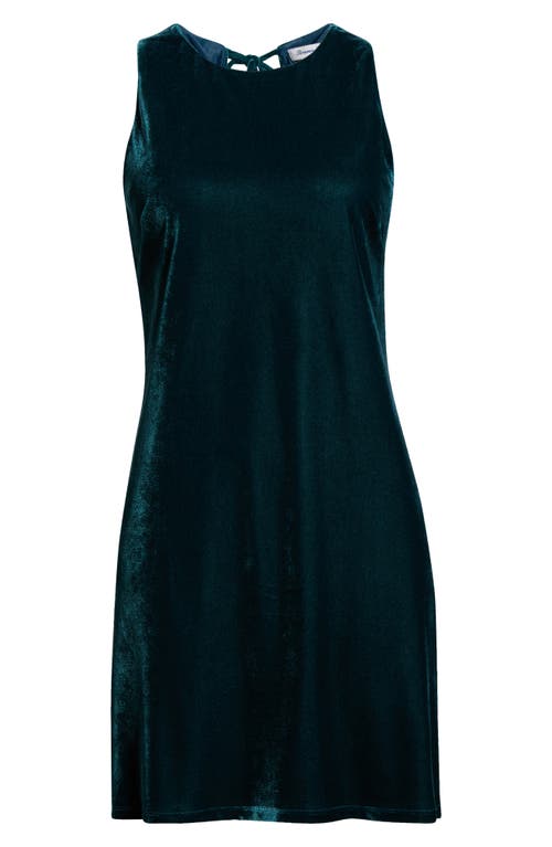 Tommy Bahama Jasmina Velvet Shift Dress In Green