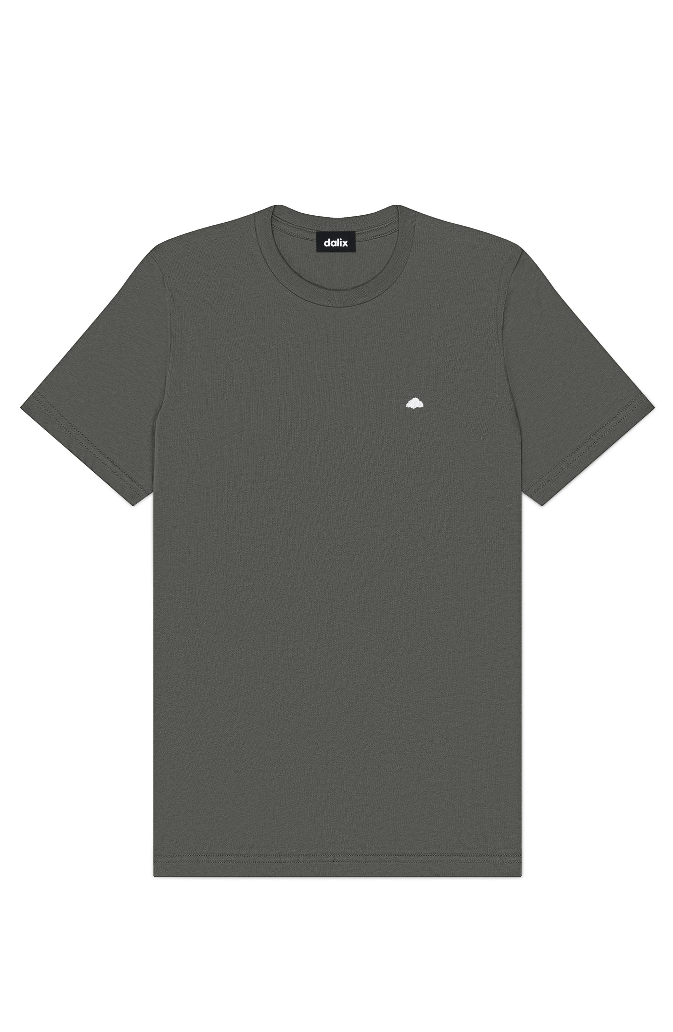 Asphalt Gray