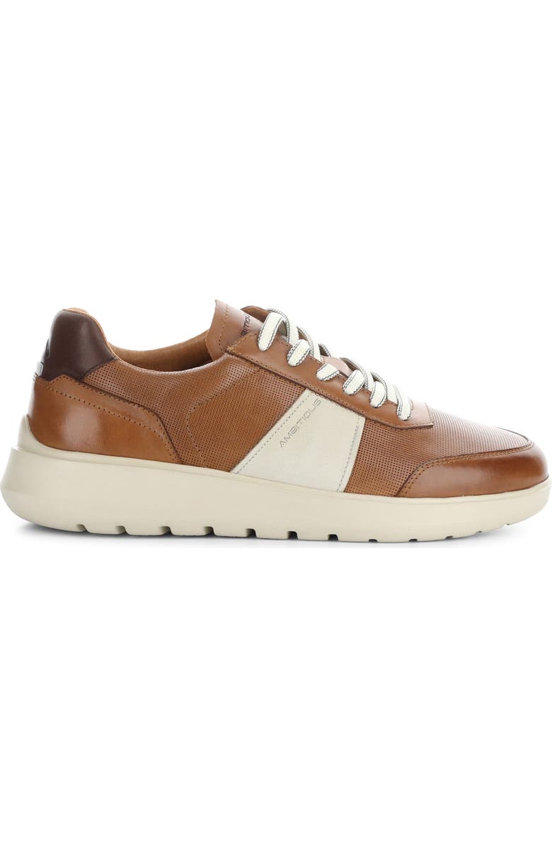 Ambitious 12863 Low Top Sneaker, Alternate, color, Cognac/ Beige Leather