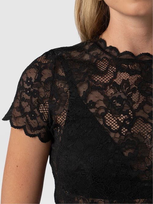 Saint + Sofia Miranda Lace Short Sleeve Tee In Black