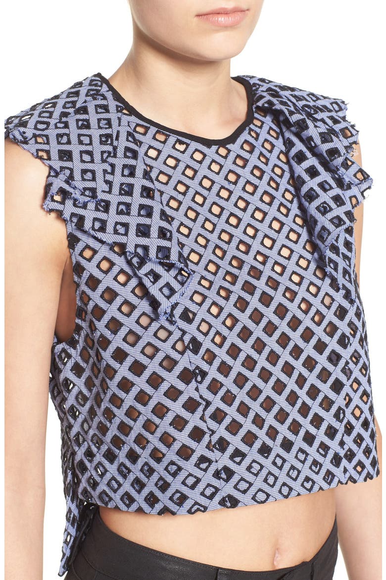Embroidered Eyelet Crop Top, Alternate, color, BLUE
