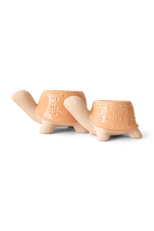 Jungle Club Turtle Planter Duo In Orange