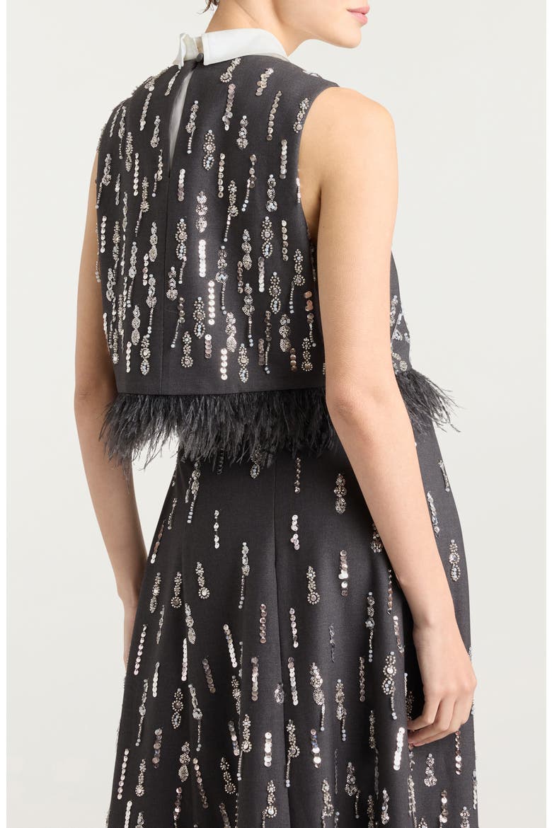 Selene Embellished Feather Top, Alternate, color, CHARCOAL MULTI
