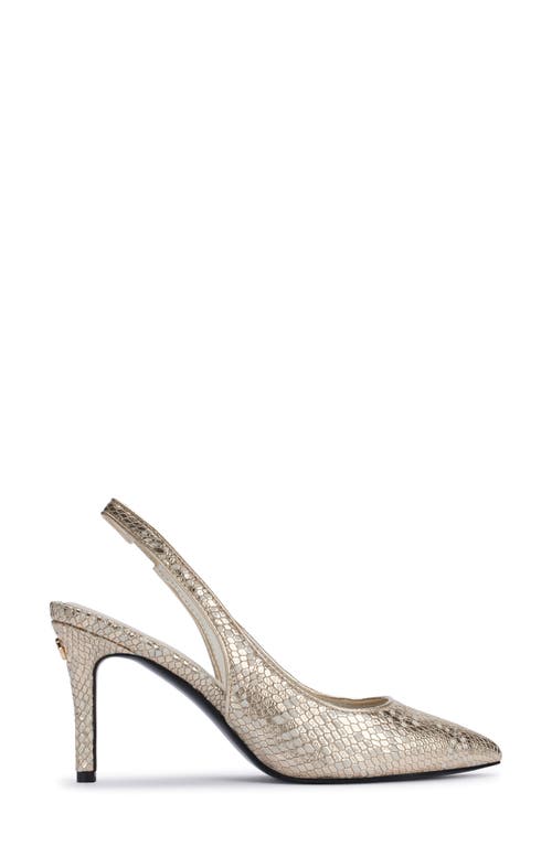 Karl Lagerfeld Rosalyn Pointed Toe Slingback Pump