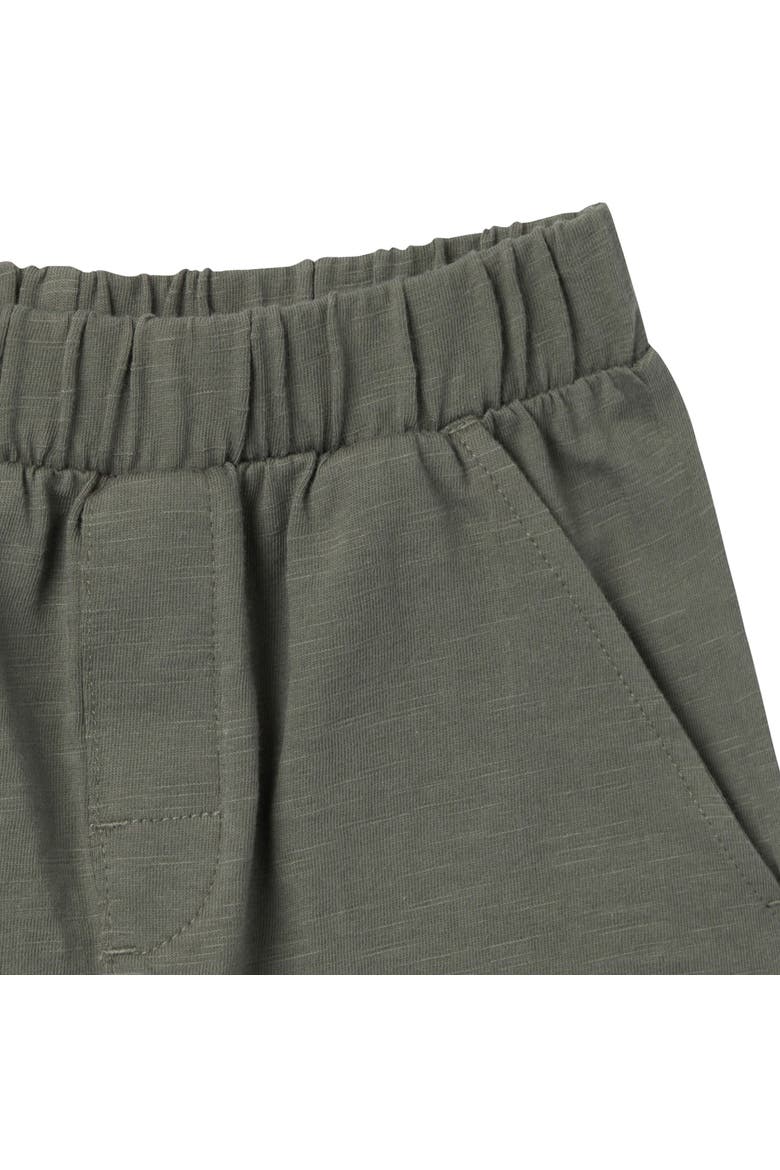 Johnny Collar and Shorts Set, Alternate, color, Green Stripe