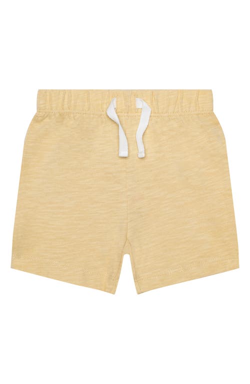 Pl Baby By Petit Lem Romper, T-shirt & Shorts Set
