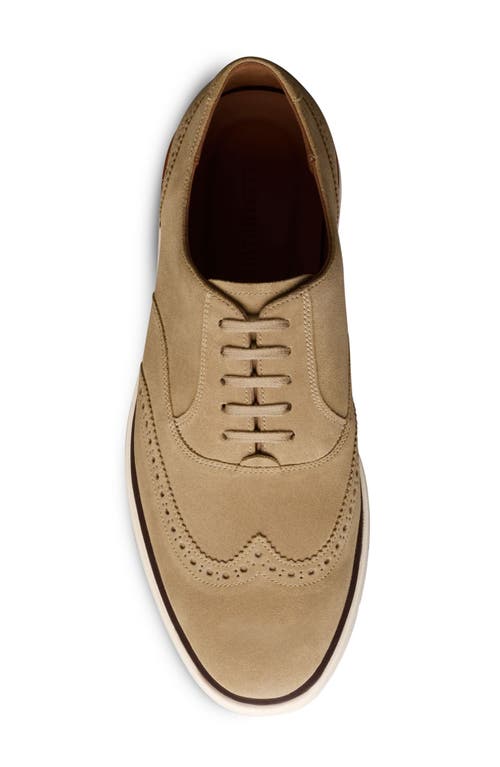 Allen Edmonds Carson Hybrid Wingtip Oxford In Bone