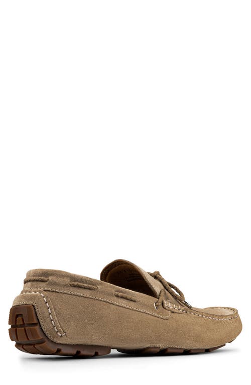 Donald Pliner Dutton Driving Loafer In Brown