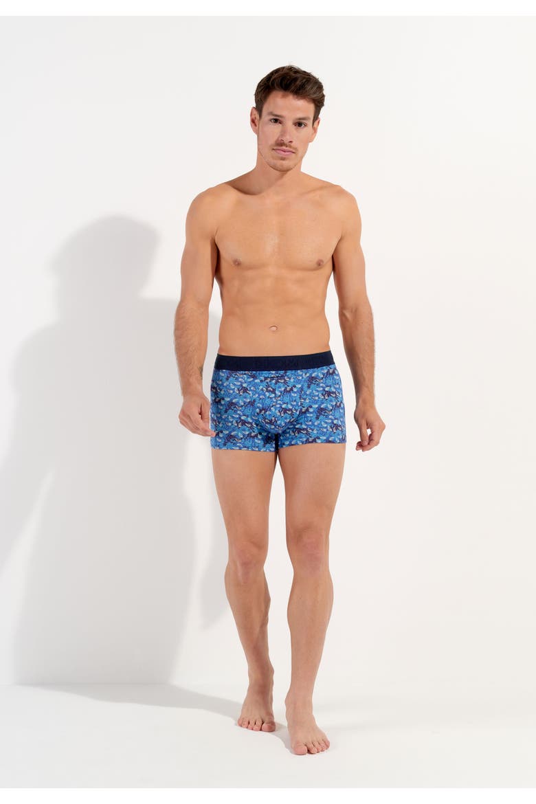 Vibe Boxer Briefs Ho1, Alternate, color, Blue Print