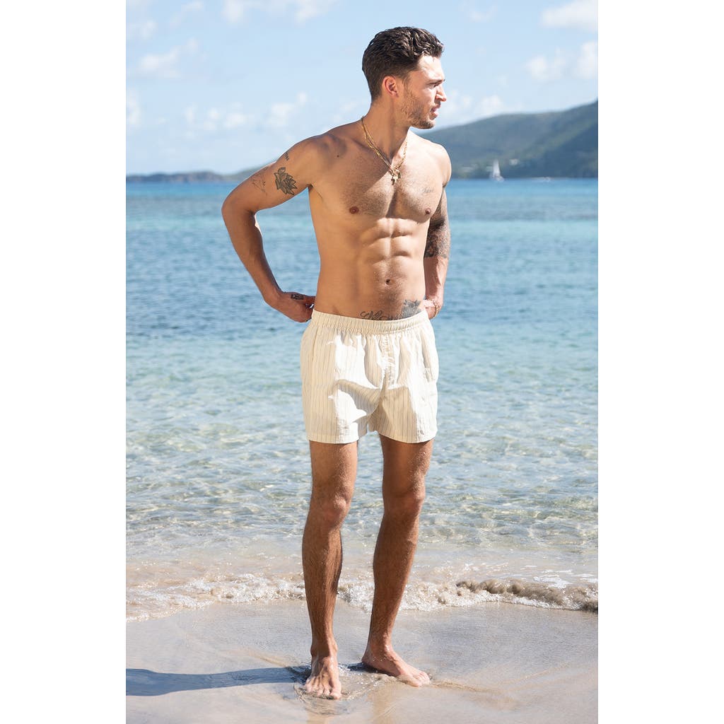 Auto-reply™ Print 4-inch Nylon Swim Trunks