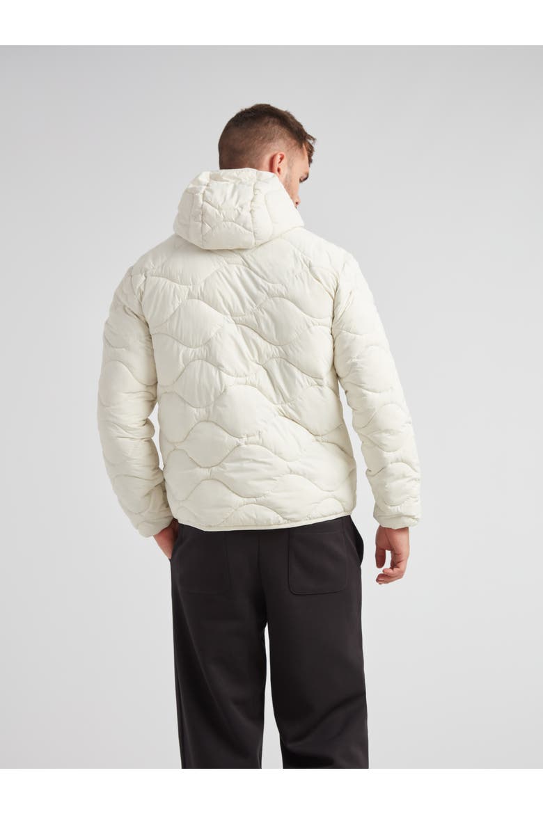 Orb1T Long Sleeve Hooded Jacket, Alternate, color, VINTAGE WHITE