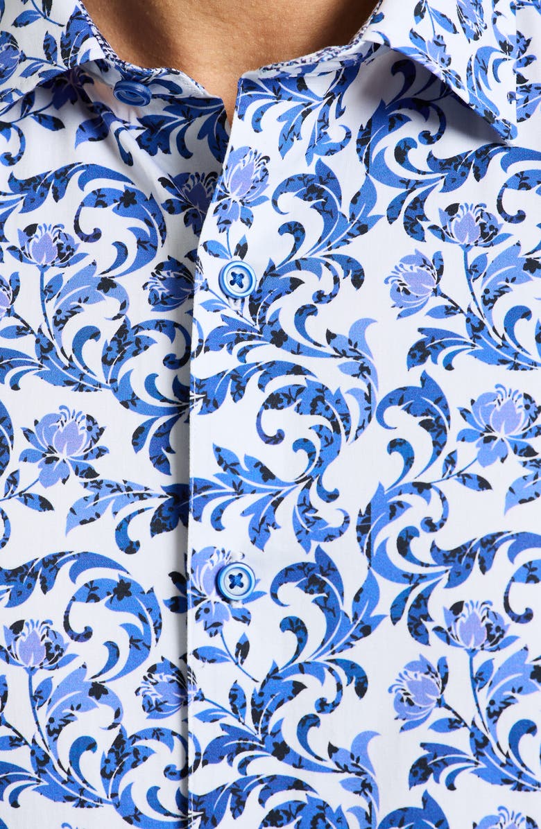 Robert Graham Aslan Cotton Button-Up Shirt, Alternate, color, Blue Multi