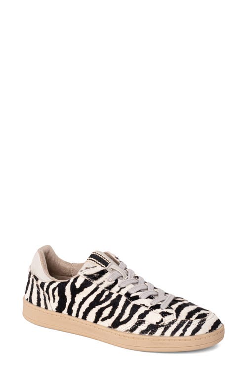 Shushop Roma Genuine Calf Hair Sneaker In Multi
