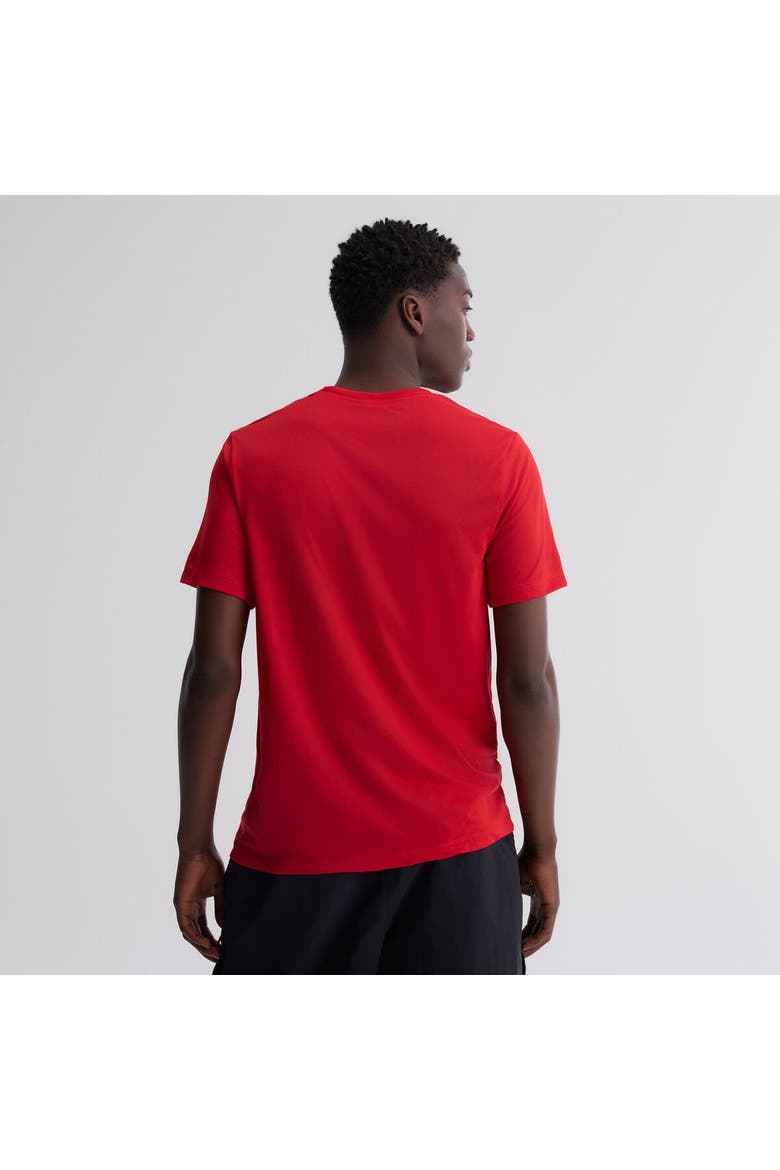 Men's Nike Red Cincinnati Reds 2026 City Connect Team Phrase Script Dri-FIT T-Shirt, Alternate, color, Red