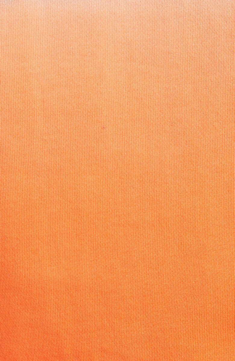 Polo Ralph Lauren Ombré Hoodie, Alternate, color,