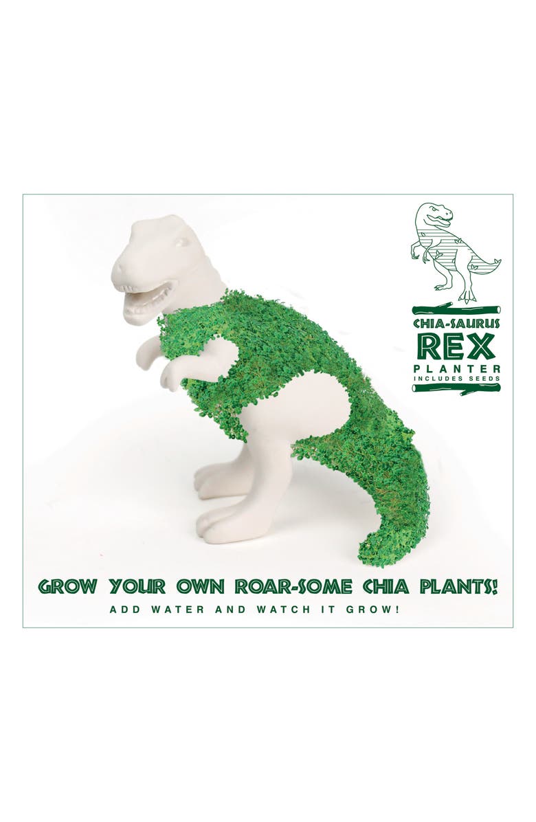 GIFT REPUBLIC Chia-Saurus Rex, Main, color,