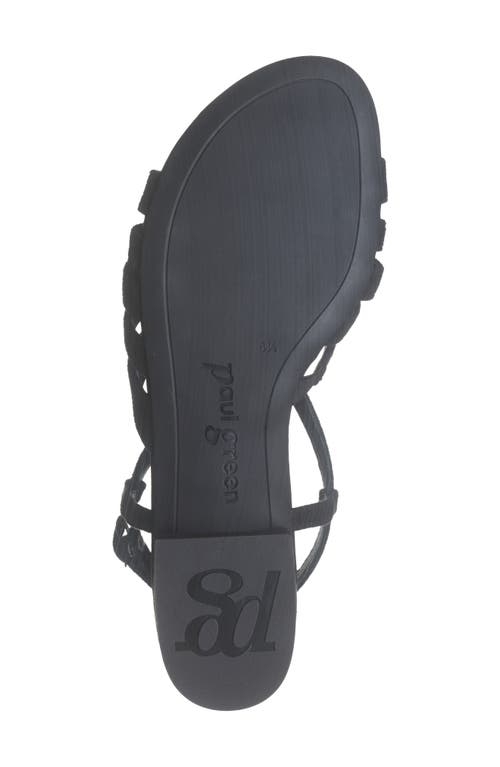 Paul Green Rumi Sandal In Black Royal Velour