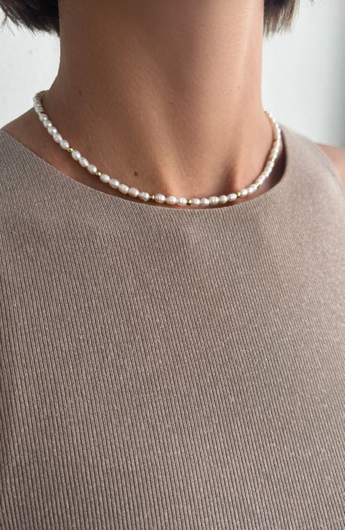 St. Moran Freshwater Seed Pearl Necklace In Multi
