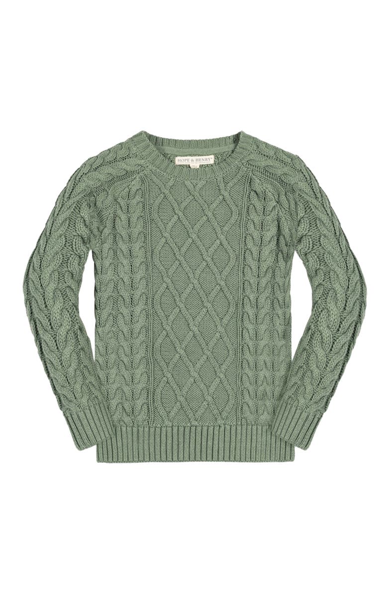 Hope & Henry Baby Boys' Organic Raglan Fisherman Sweater, Infant, Main, color, 